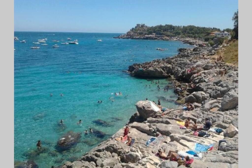 Calypso's Shell Vakantiehuis *