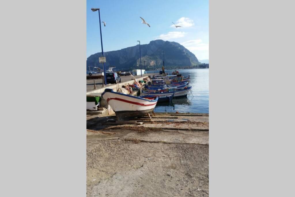 Vakantiehuis Calypso's Shell Palermo