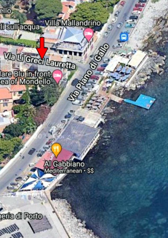 Calypso's Shell * Palermo